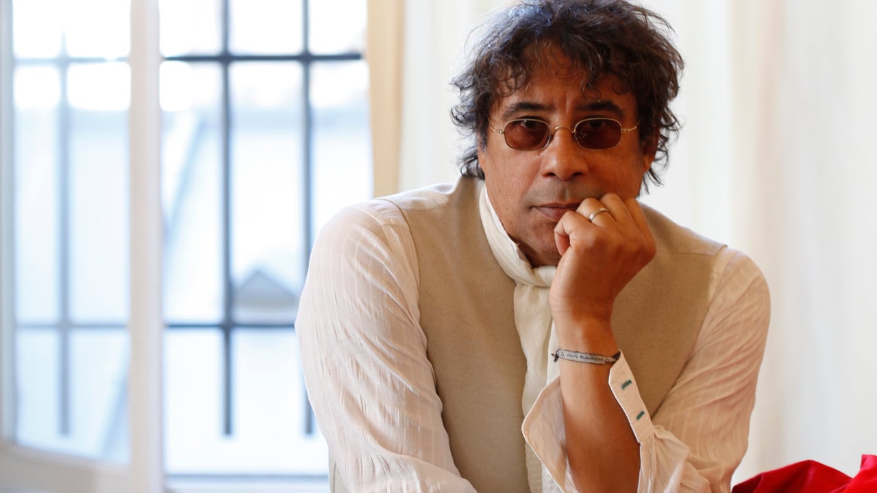 Laurent Voulzy En Concert