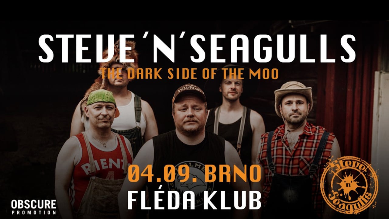 STEVE´N´SEAGULLS