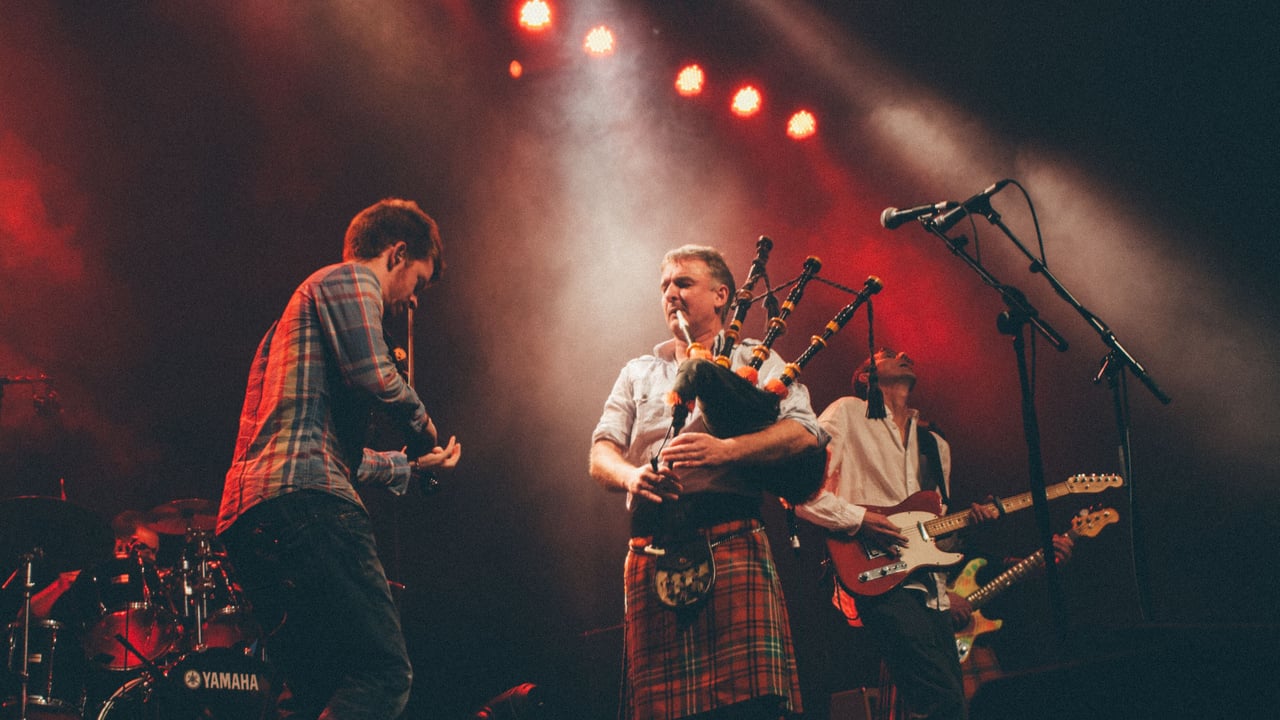 Peatbog Faeries