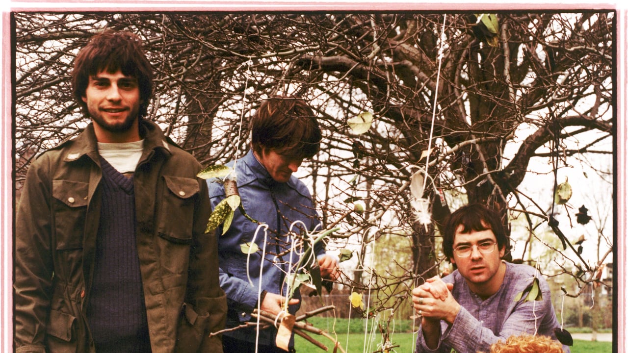 The Beta Band