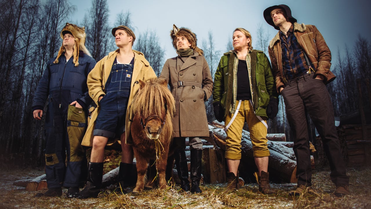 STEVE'N'SEAGULLS   INVITES