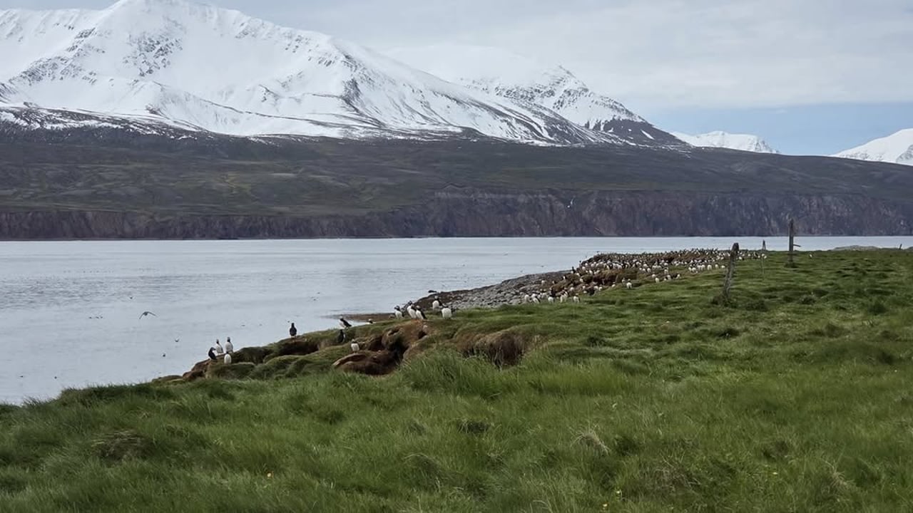 Flatey á Skjálfanda með FFA
