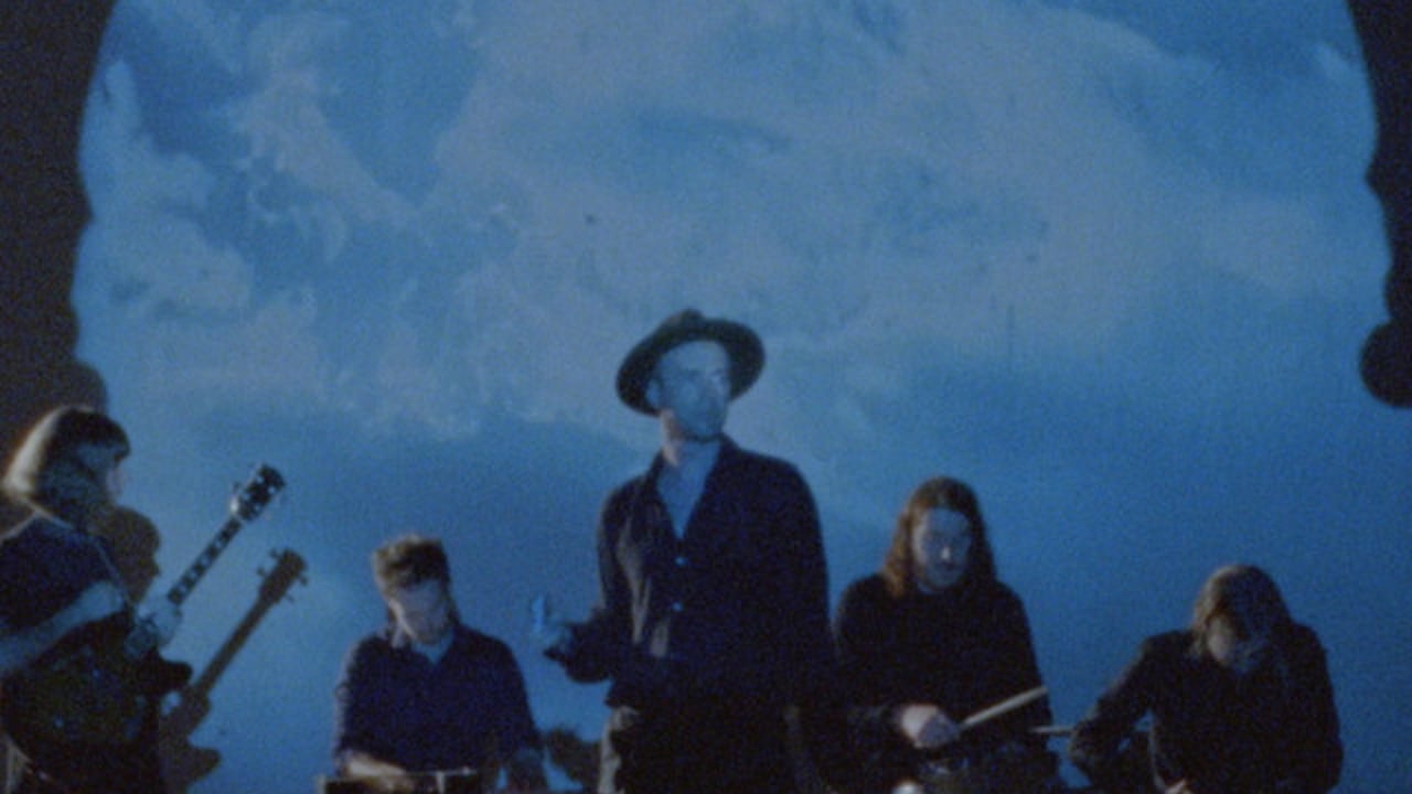 The Veils