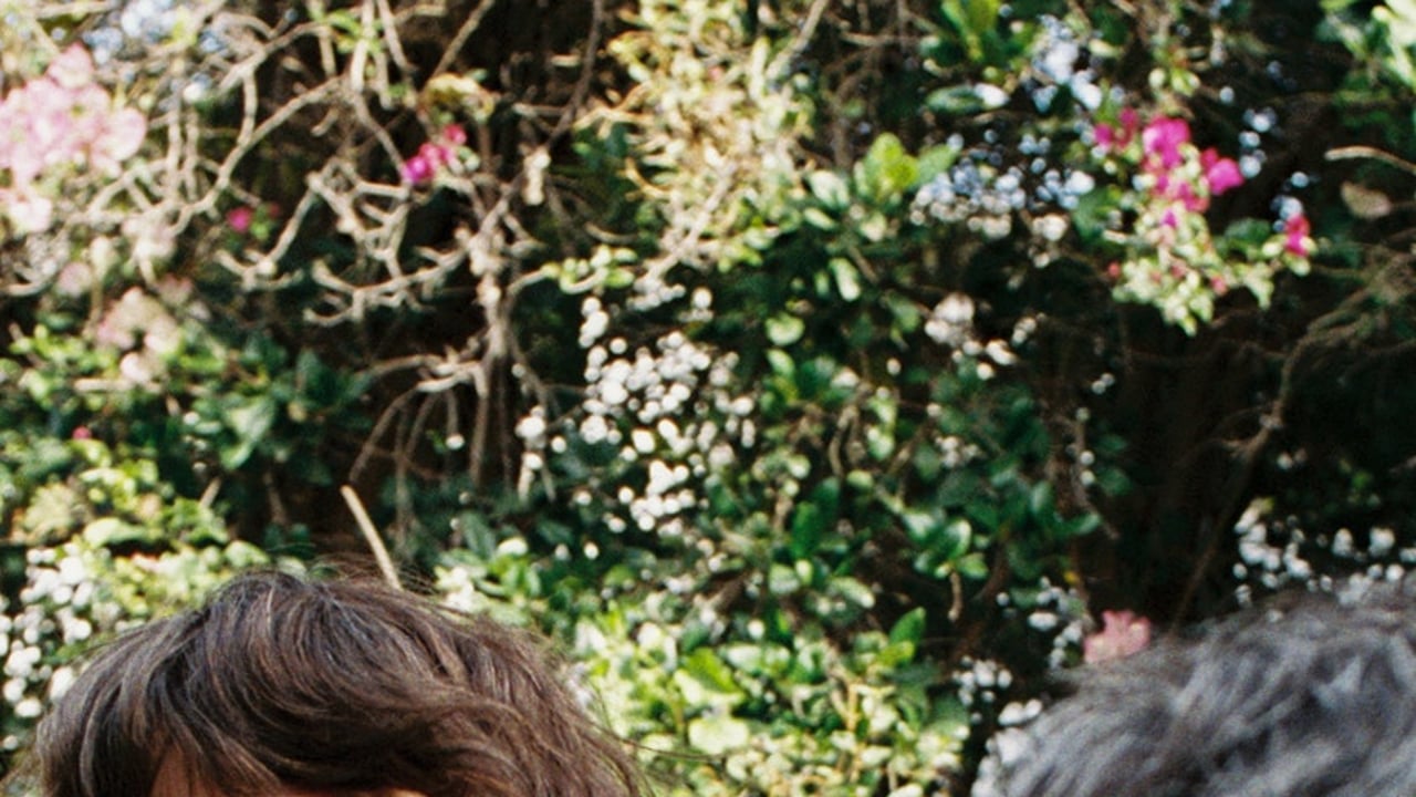 Widowspeak