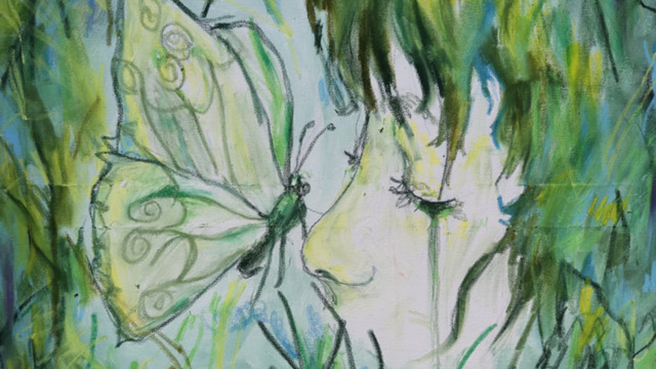 Dead Butterflies