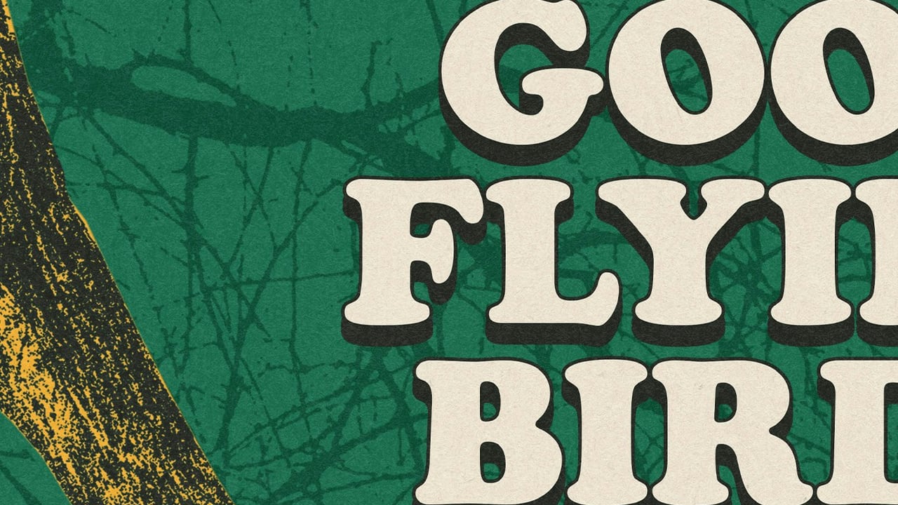Good Flying Birds
