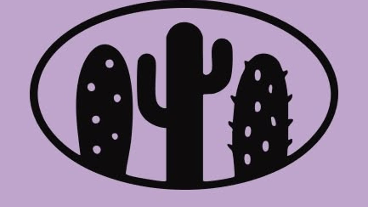 Kaktusfestivalen