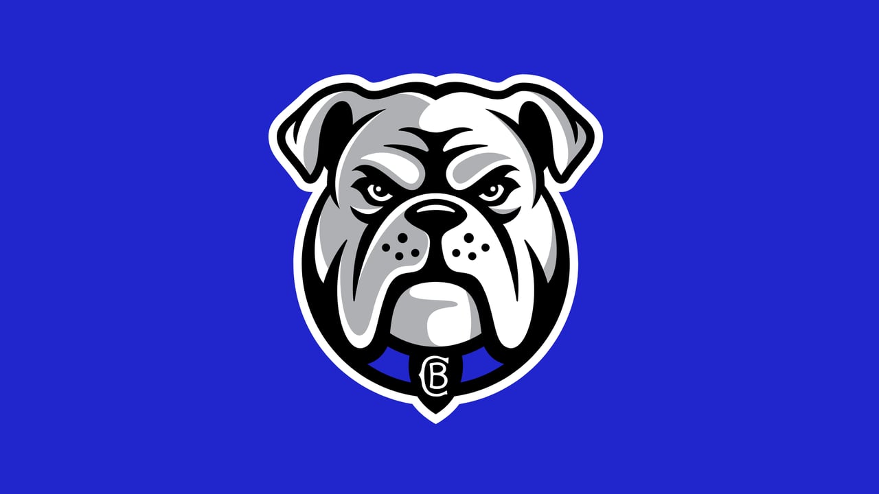 2026 NRL Telstra Premiership Bulldogs v Rabbitohs (Round 24)