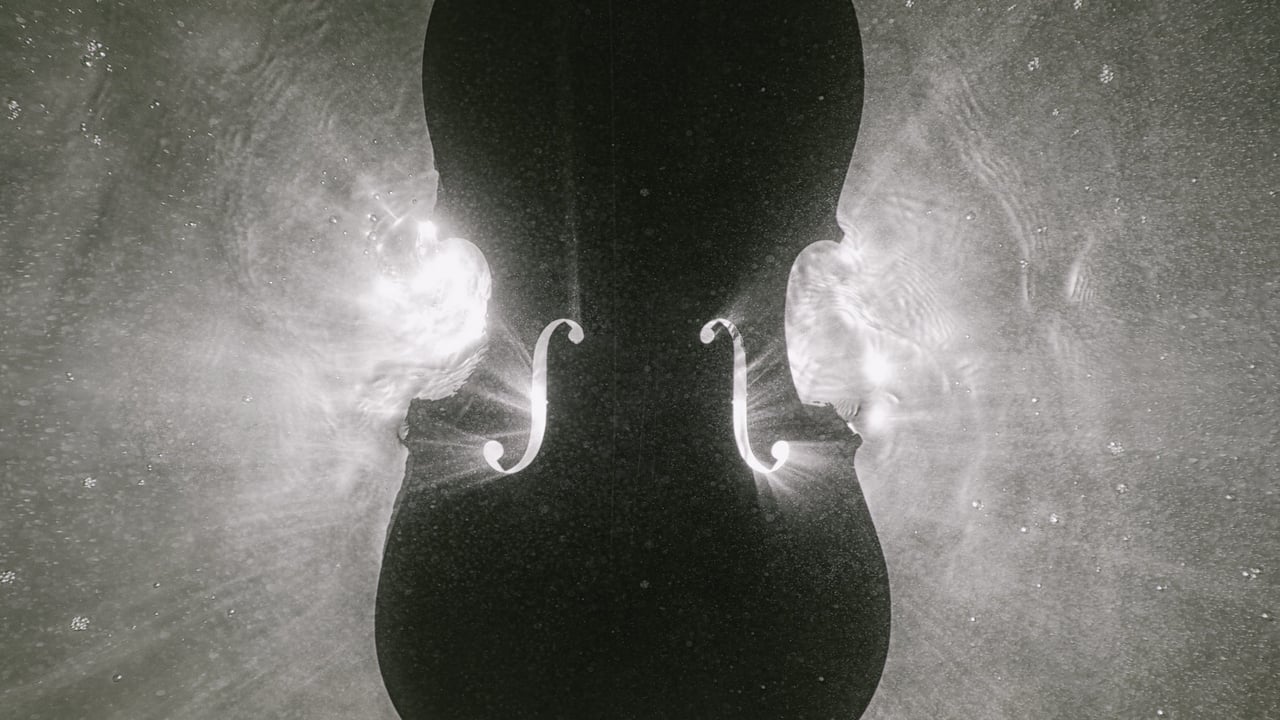 Auckland Philharmonia: Mendelssohn's Violin