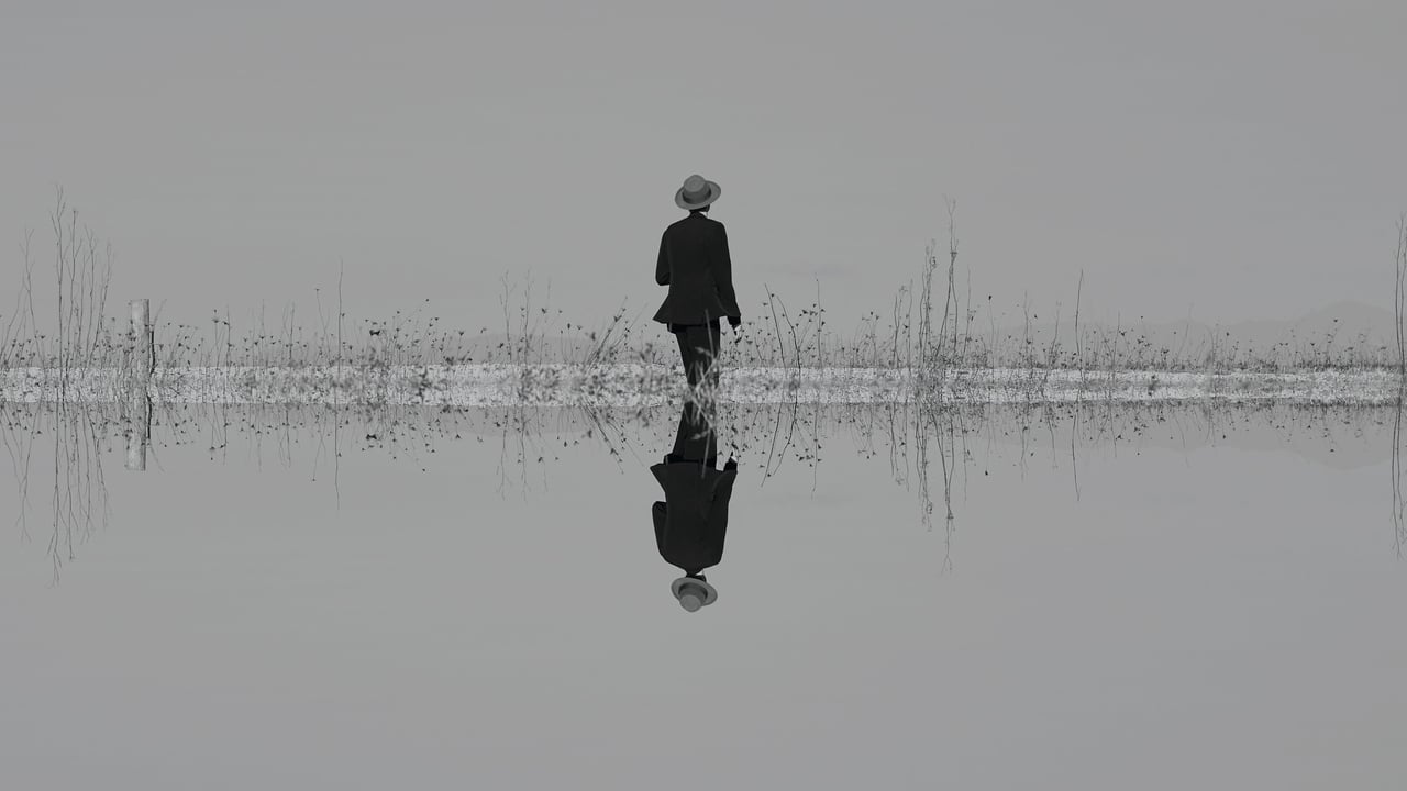 The Veils