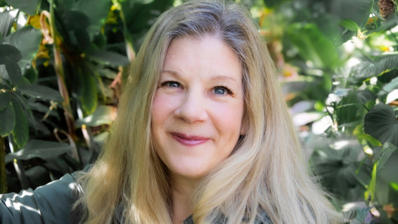 Dar Williams