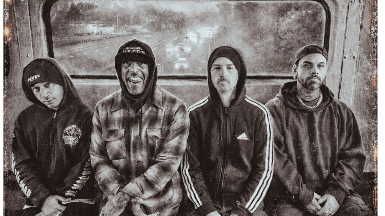 HED PE / COLD