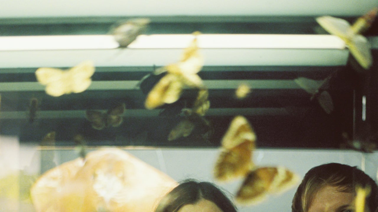 The Bug Club