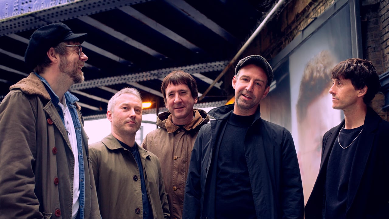 The Rifles