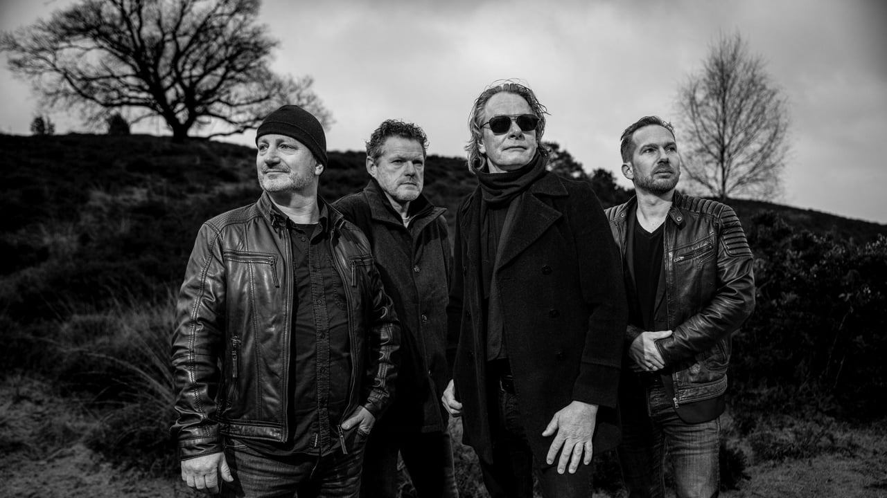 Like U2 ( Tribute )
