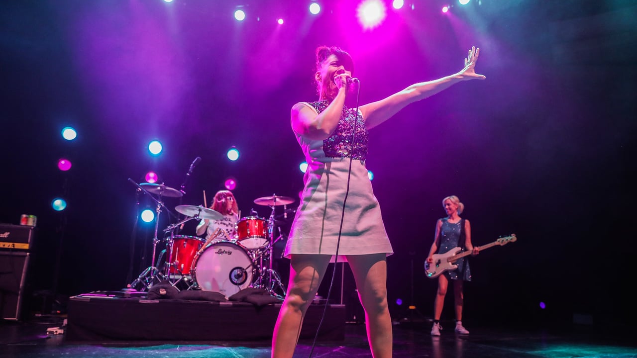 Bikini Kill @ Shed, The Salt Shed (Indoors)