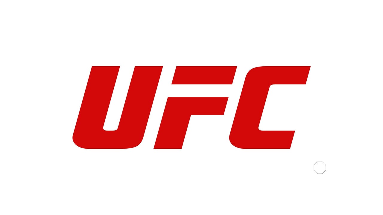UFC Fight Night