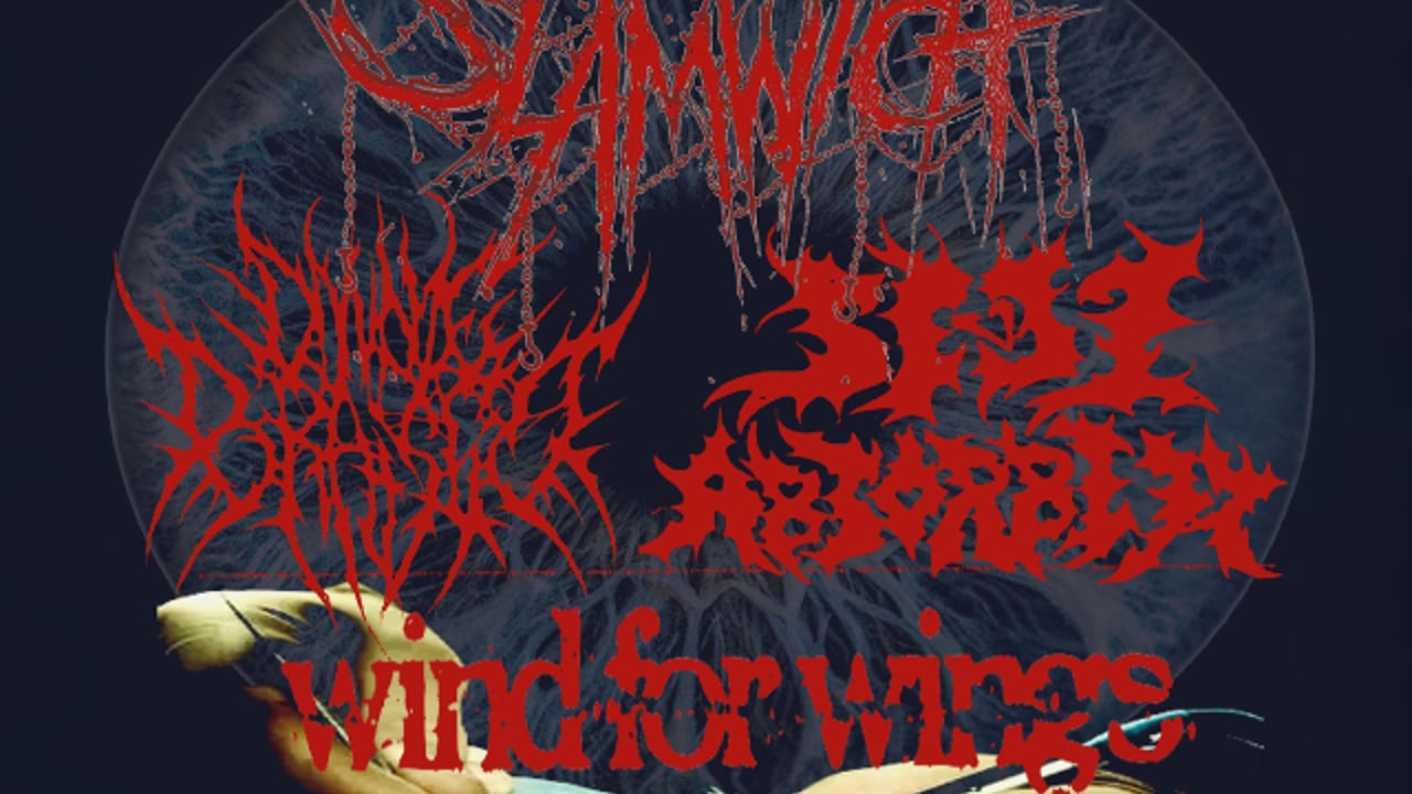 Slamwich, Donnie Brasco, Self Absorbed, Saint Martyr, Wind for Wings