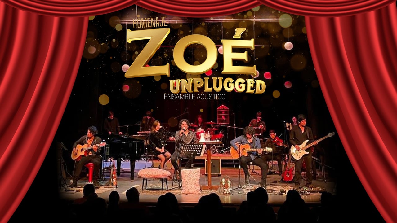 Homenaje Zoé unplugged