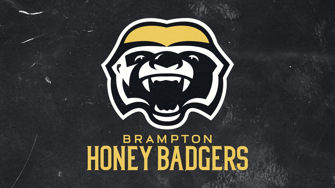 Brampton Honey Badgers vs. Montreal Alliance