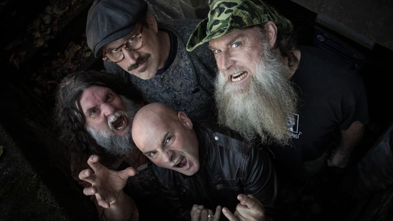 Hayseed Dixie