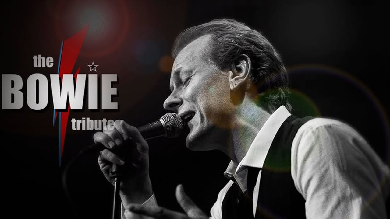 the BOWIE tribute - Herlev Medborgerhus
