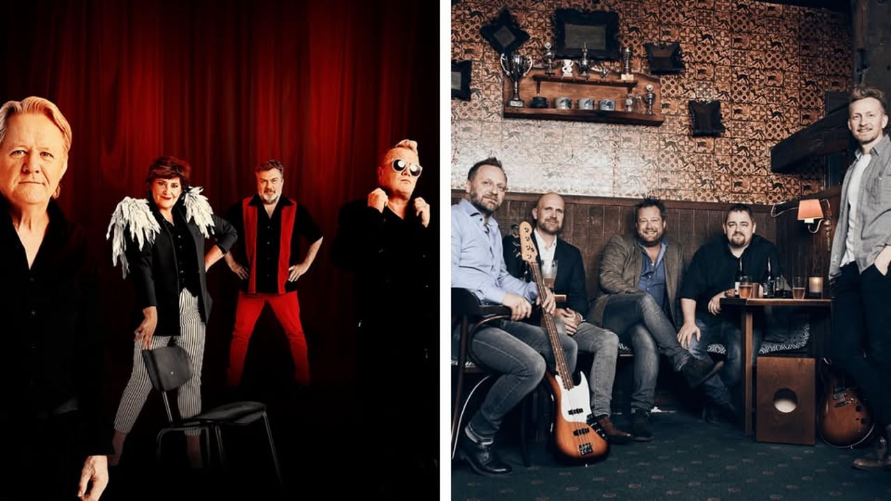 Dodo and the Dodos & En lille pose støj