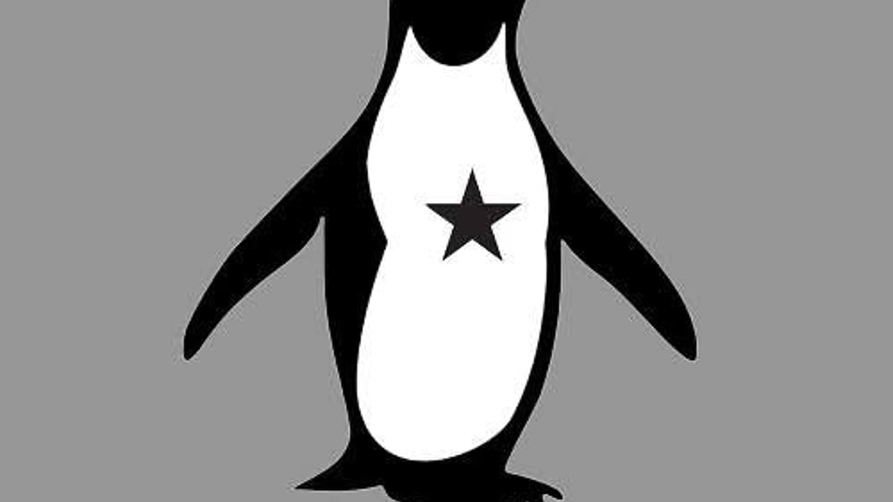 Nice Little Penguins