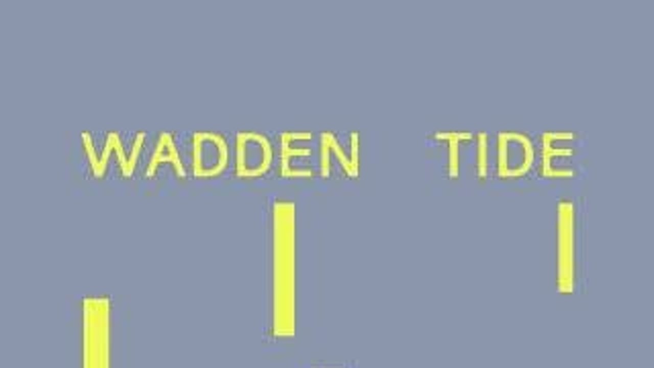 Wadden Tide