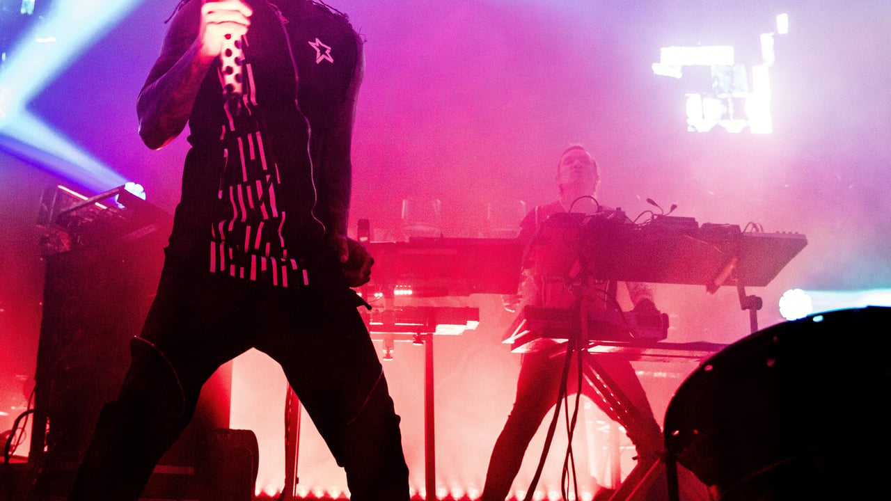 The Prodigy | Vinyl Room Package