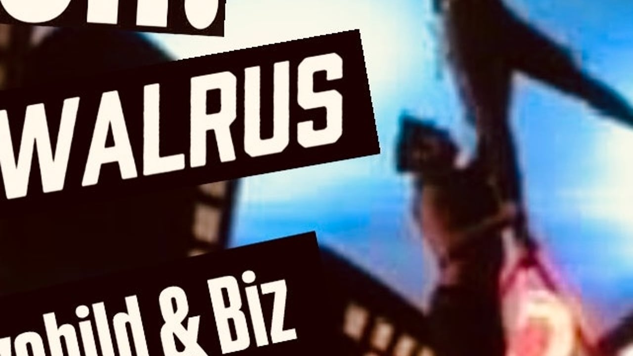 PUSH!, Dinowalrus, Honeychild & Biz