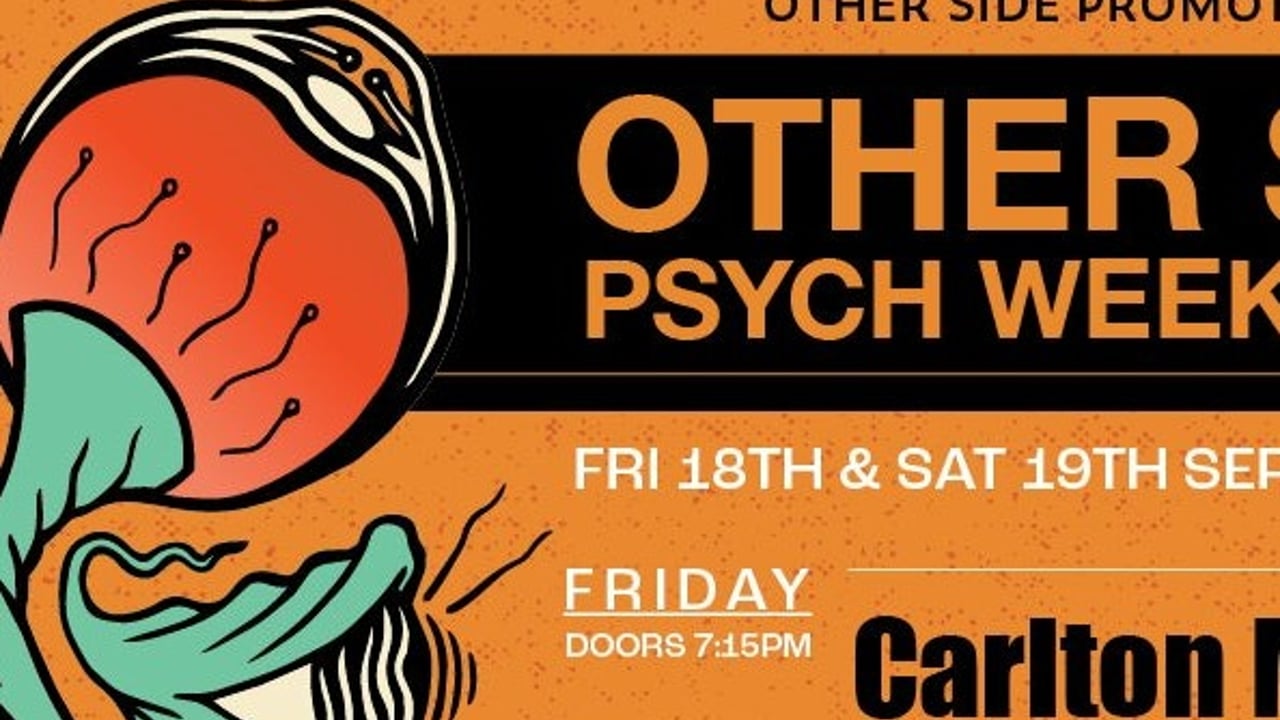 Other Side Psych Weekender - Saturday only Ticket