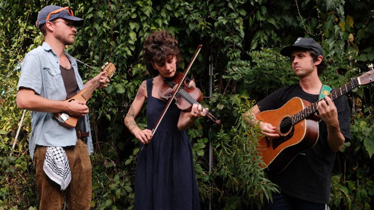 Happy Hour w/ Ditch Tea Steepers at Woodlands Tavern