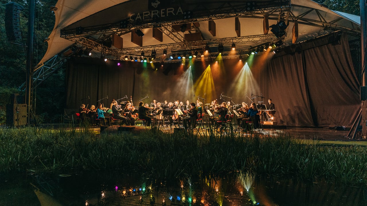 Nederlands Kamerorkest