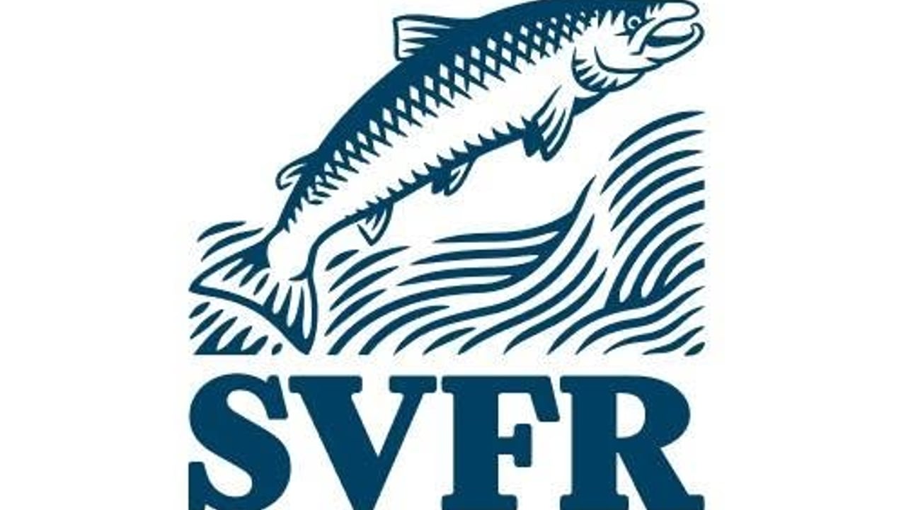 SVFR
