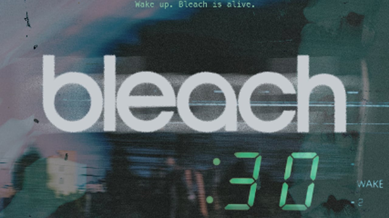 Bleach 30 Year Anniversary