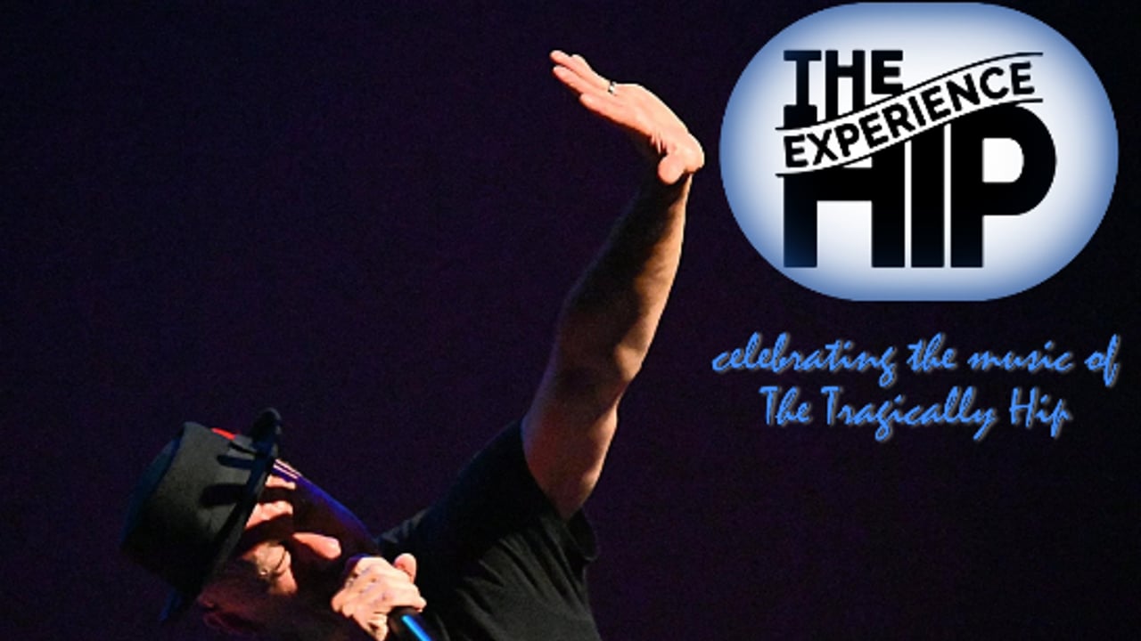 The Hip Experience