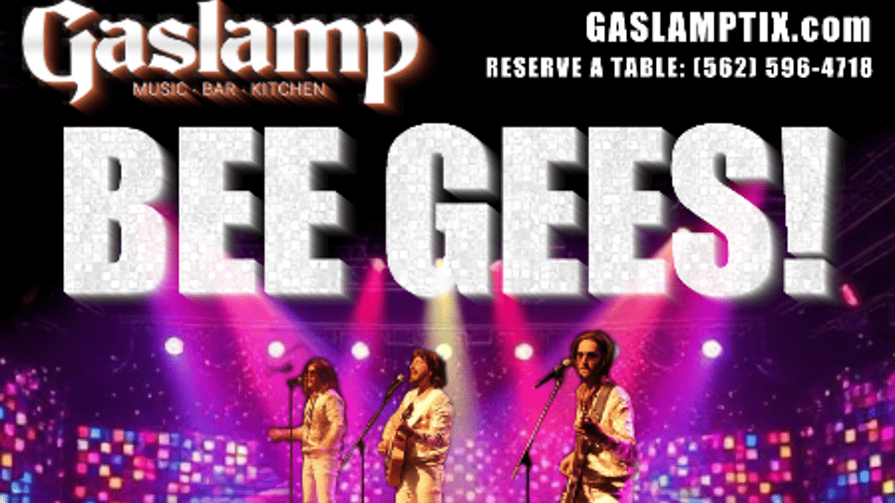 BEE GEES FEVER! - Tribute to the BEE GEES
