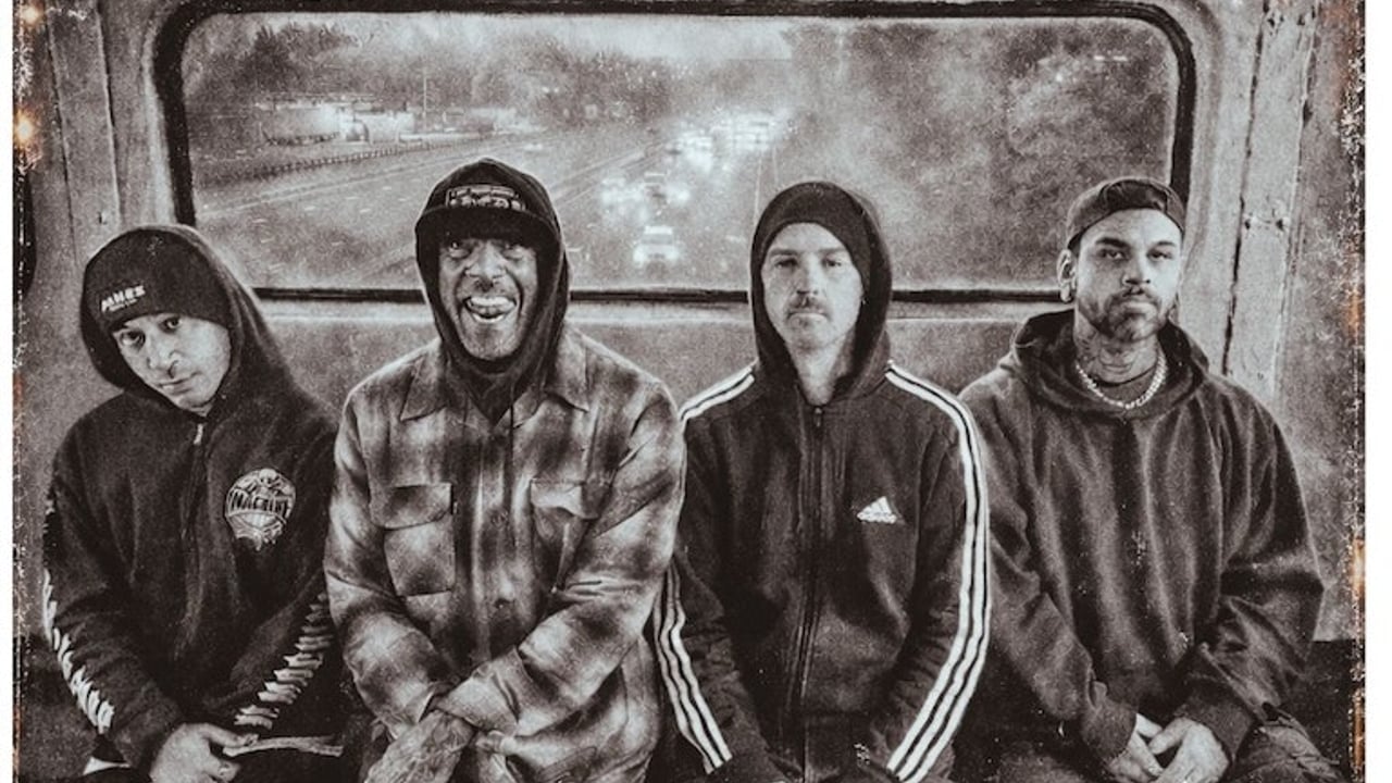 HED PE x COLD