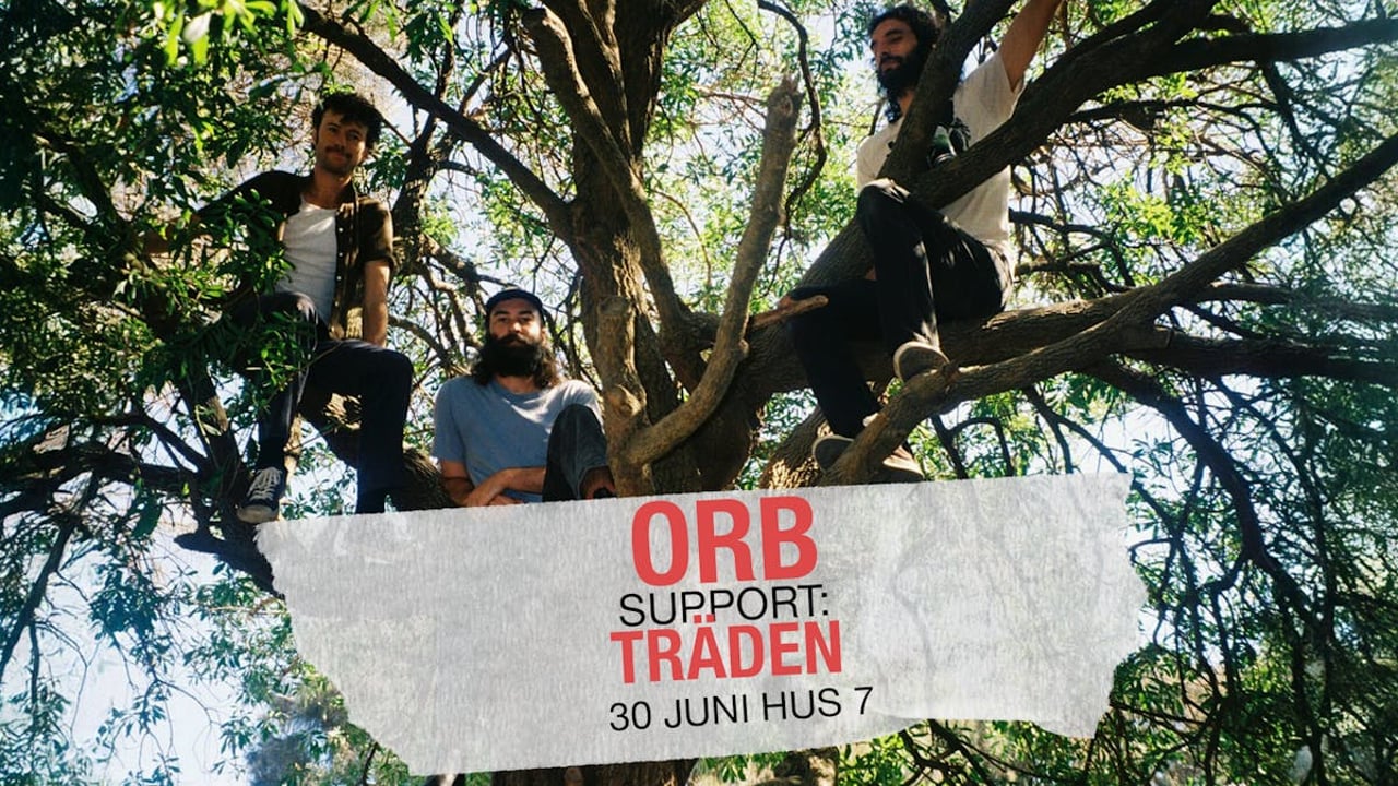 ORB + TRÄDEN