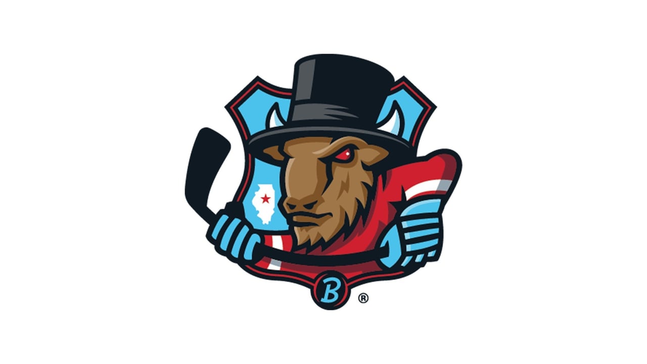 Bloomington Bison vs. Kalamazoo Wings