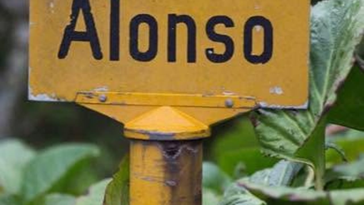 Alonsohuset
