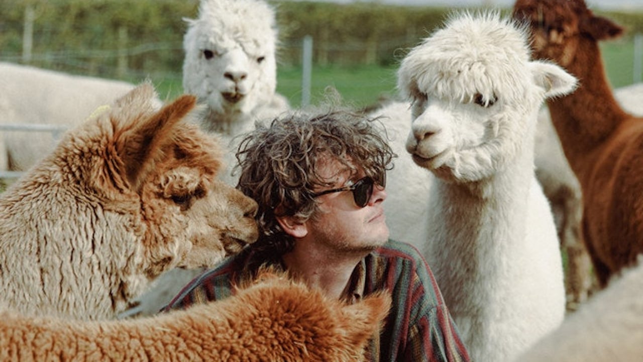 Bill Ryder-Jones and the Royal Liverpool Philharmonic Orchestra perform If… and other works