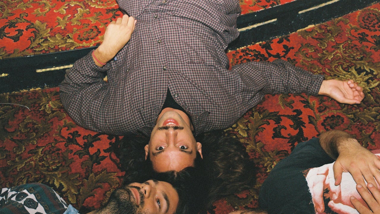 Turnover, Narrow Head, She's Green