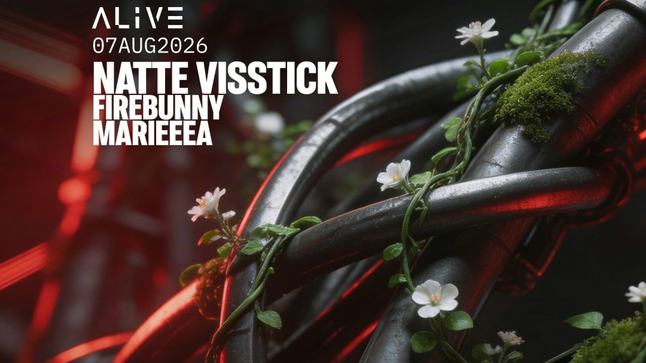 Natte Visstick