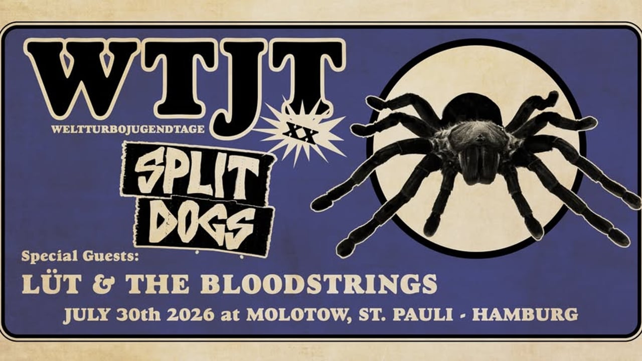 WTJT XX: w./ SPLIT DOGS, LÜT, BLOODSTRINGS