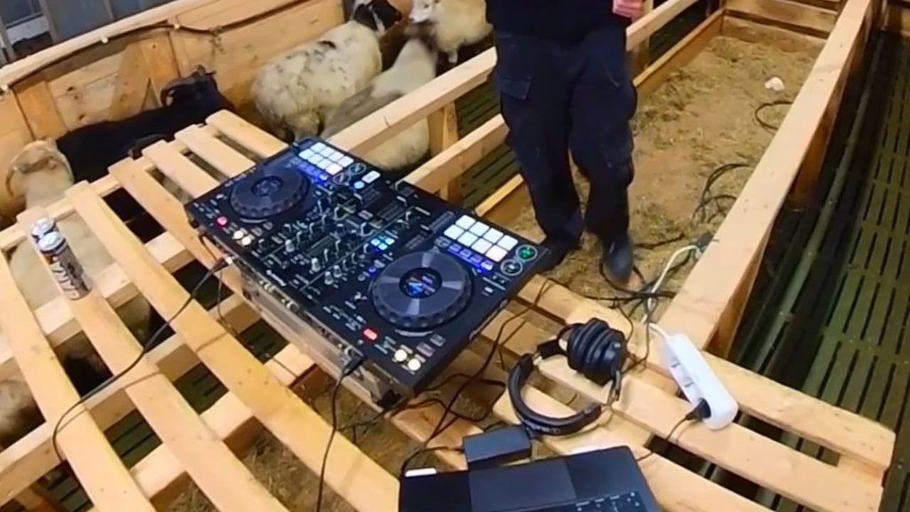 DJ SAKKI