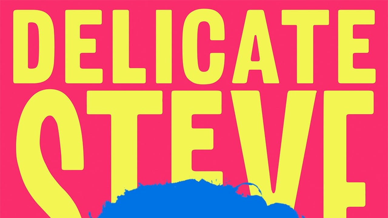 Delicate Steve +  Aggie Miller