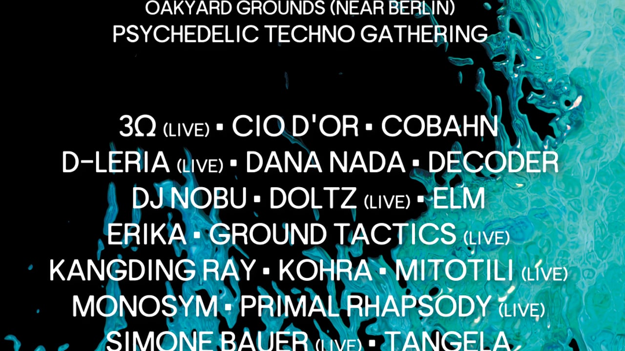THIRD EYE FESTIVAL 2026