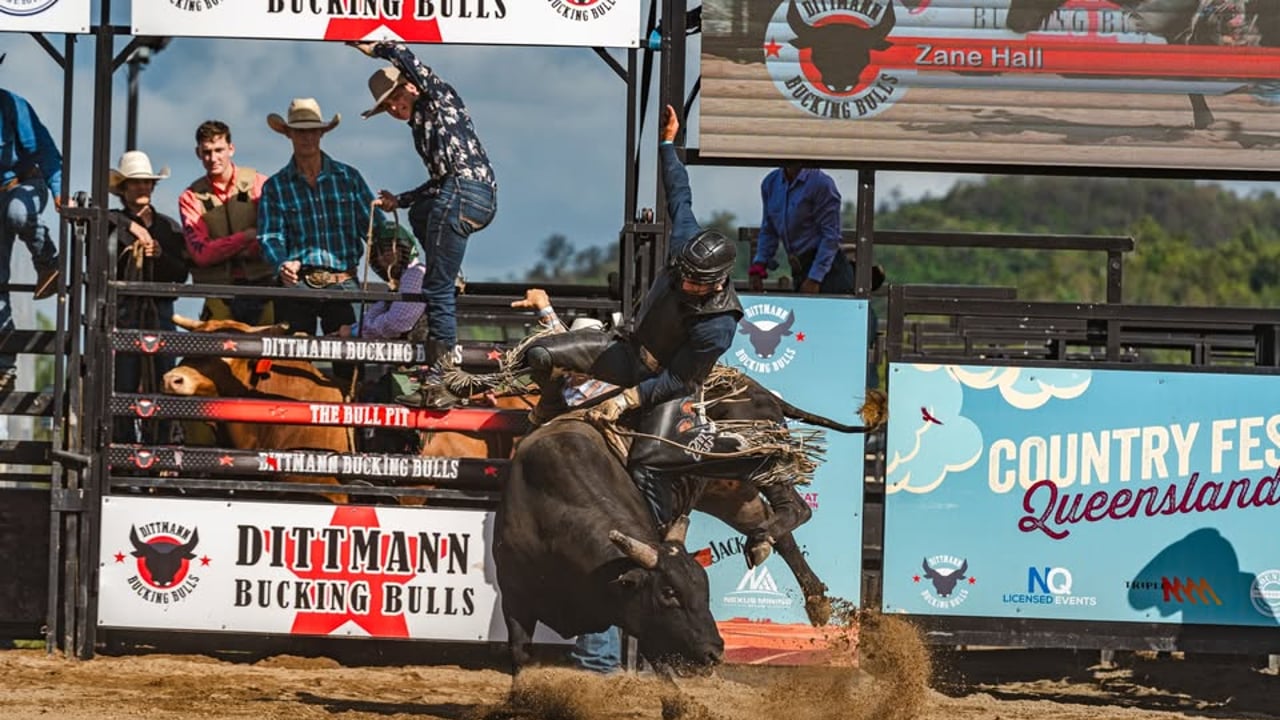 Dittmann Bull Pit PBR
